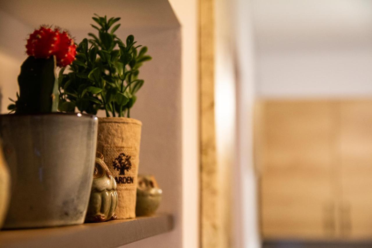 Studio Aries Postavarului Brasov Bagian luar foto