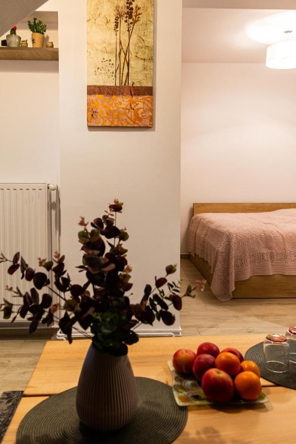 Studio Aries Postavarului Brasov Bagian luar foto